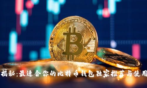 专家揭秘：最适合你的比特币钱包独家推荐与使用秘诀