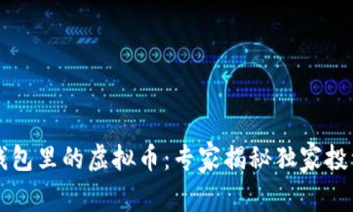 电子钱包里的虚拟币：专家揭秘独家投资秘诀