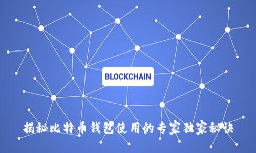 揭秘比特币钱包使用的专家独家秘诀