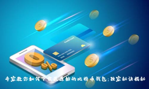 专家教你如何下载最原始的比特币钱包：独家秘诀揭秘