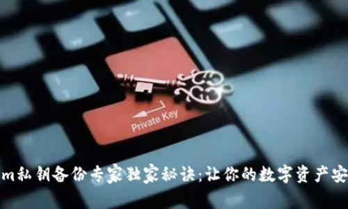 Tokenim私钥备份专家独家秘诀：让你的数字资产安全无忧