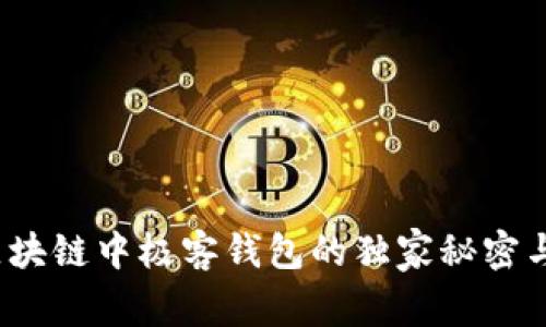 专家揭秘：区块链中极客钱包的独家秘密与可靠性分析