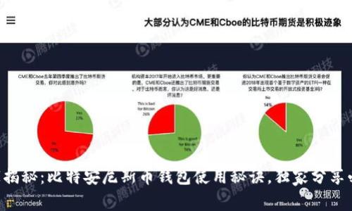 专家揭秘：比特安尼斯币钱包使用秘诀，独家分享必看！