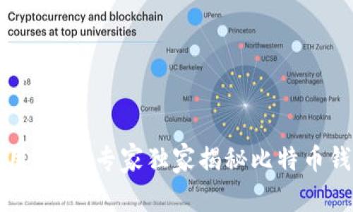 比特币钱包使用指南：专家独家揭秘比特币钱包的使用秘诀