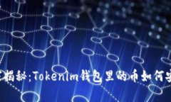 专家独家揭秘：Tokenim钱包