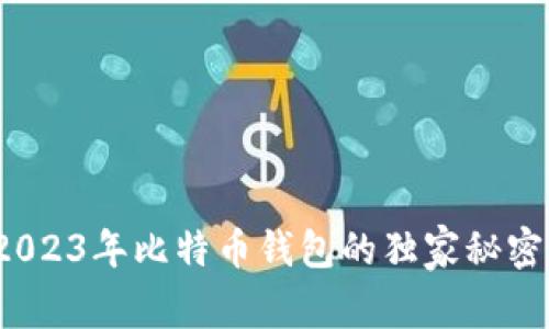 专家解析：2023年比特币钱包的独家秘密与选择指南