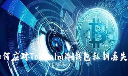 专家教你如何应对Tokenim冷钱包私钥丢失的独家秘诀