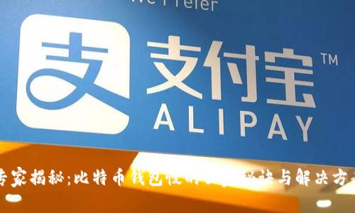专家揭秘：比特币钱包慢的独家秘诀与解决方案