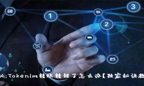 专家揭秘：Tokenim转账转错了怎么办？独家秘诀教你应对！