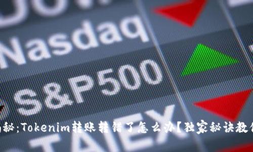 专家揭秘：Tokenim转账转错了怎么办？独家秘诀教你应对！