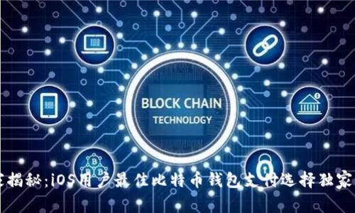 专家揭秘：iOS用户最佳比特币钱包支付选择独家秘诀