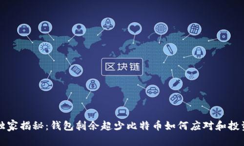 专家独家揭秘：钱包剩余超少比特币如何应对和投资策略