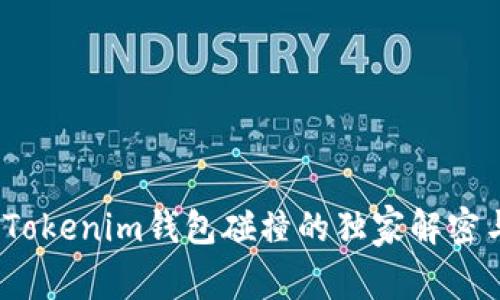 专家揭晓：Tokenim钱包碰撞的独家解密与处理秘诀