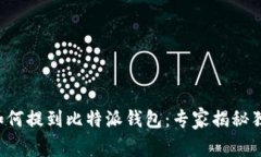瑞波币如何提到比特派钱
