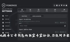 揭秘比特币公开钱包的独