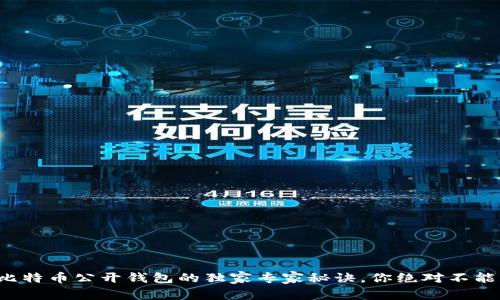 揭秘比特币公开钱包的独家专家秘诀，你绝对不能错过！