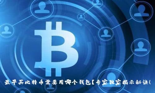 最早买比特币需要用哪个钱包？专家独家揭示秘诀！