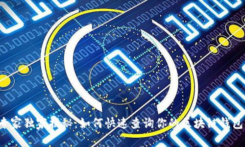 专家独家揭秘：如何快速查询你的区块链钱包？
