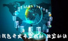   以太坊钱包开发专家揭秘