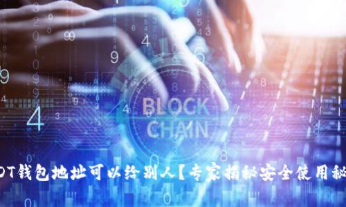 USDT钱包地址可以给别人？专家揭秘安全使用秘诀！