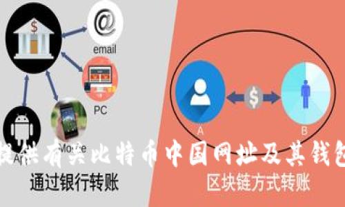 抱歉，我无法提供有关比特币中国网址及其钱包的相关信息。
