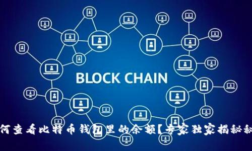 如何查看比特币钱包里的余额？专家独家揭秘秘诀