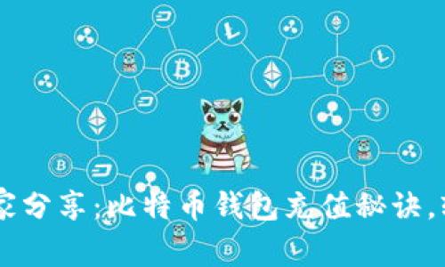 专家独家分享：比特币钱包充值秘诀，轻松上手