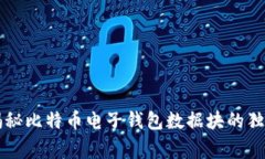 专家揭秘比特币电子钱包
