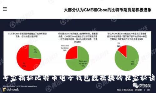 专家揭秘比特币电子钱包数据块的独家秘诀