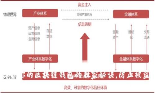 专家揭秘：保护你的区块链钱包的独家秘诀，防止被盗插件的危害