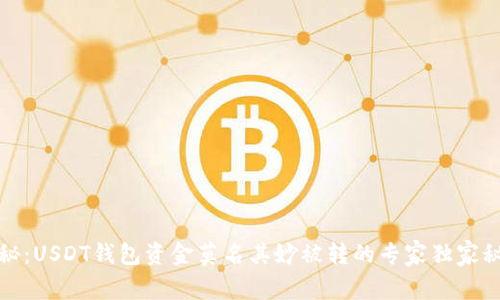 揭秘：USDT钱包资金莫名其妙被转的专家独家秘诀