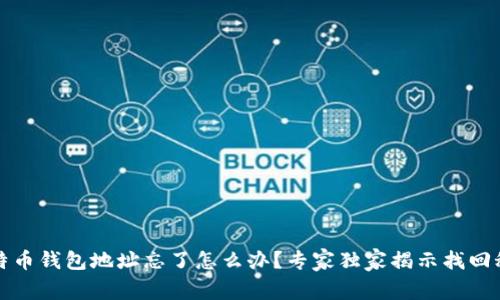 比特币钱包地址忘了怎么办？专家独家揭示找回秘诀