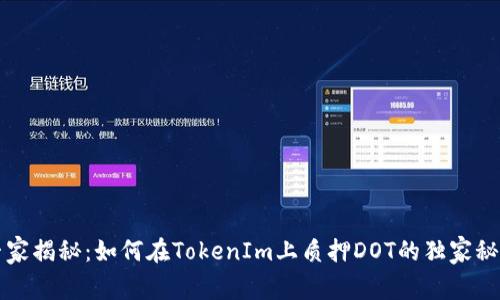专家揭秘：如何在TokenIm上质押DOT的独家秘诀