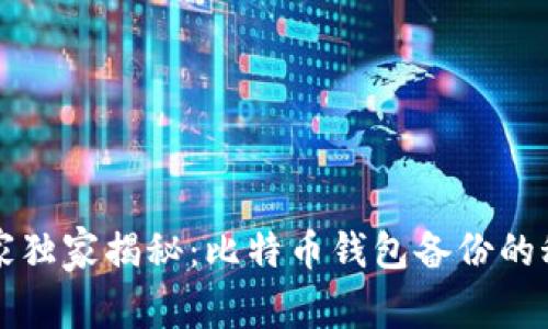 专家独家揭秘：比特币钱包备份的秘诀