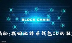 专家揭秘：找回比特币钱