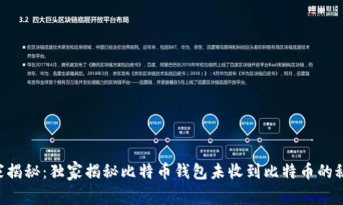 专家揭秘：独家揭秘比特币钱包未收到比特币的秘诀！
