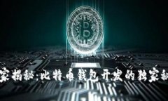 专家揭秘：比特币钱包开