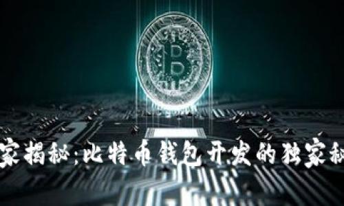 专家揭秘：比特币钱包开发的独家秘诀