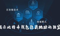 专家揭示比特币钱包隐藏