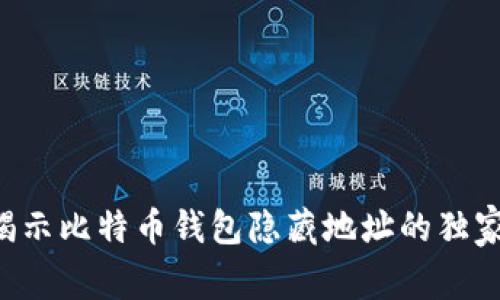 专家揭示比特币钱包隐藏地址的独家秘诀！