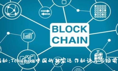 专家揭秘：Tokenim中国的独家运作秘诀与市场前景分析