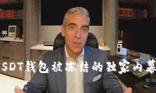 专家解读：USDT钱包被冻结的独家内幕与解决秘诀