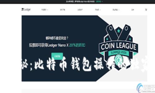 专家揭秘：比特币钱包操作的独家秘诀