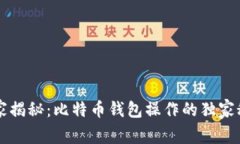 专家揭秘：比特币钱包操