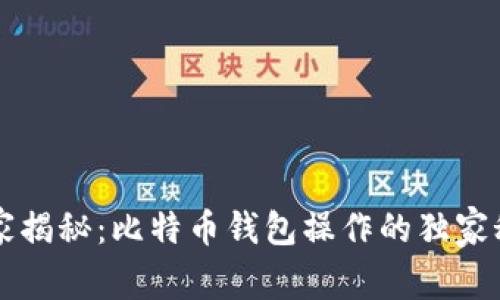 专家揭秘：比特币钱包操作的独家秘诀