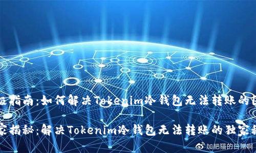 终极指南：如何解决Tokenim冷钱包无法转账的困惑

专家揭秘：解决Tokenim冷钱包无法转账的独家秘诀