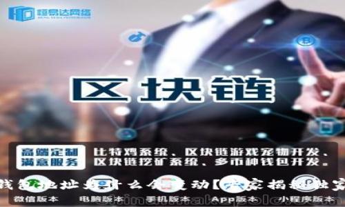USDT钱包地址为什么会变动？专家揭秘独家秘诀！