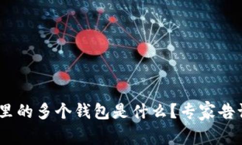 Tokenim钱包里的多个钱包是什么？专家告诉你独家秘诀！