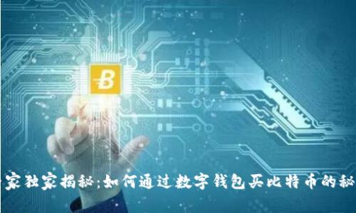 专家独家揭秘：如何通过数字钱包买比特币的秘诀