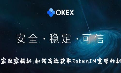 专家独家揭秘：如何高效获取TokenIM宽带的秘诀